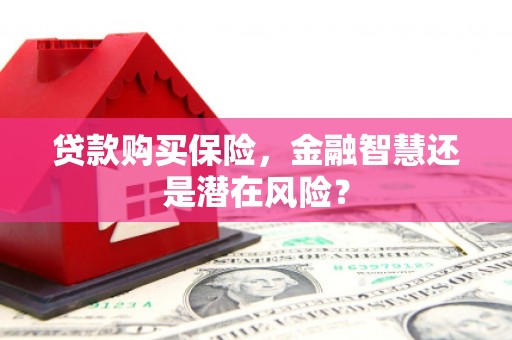 虞城贷款购买保险，金融智慧还是潜在风险？