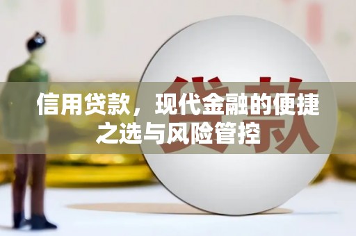 蒲江信用贷款，现代金融的便捷之选与风险管控