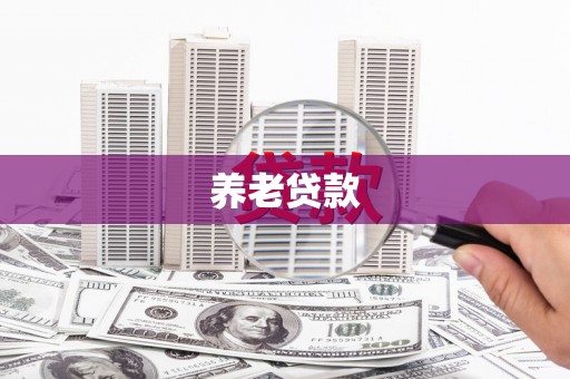 竹东养老贷款