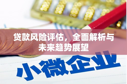 河津贷款风险评估，全面解析与未来趋势展望