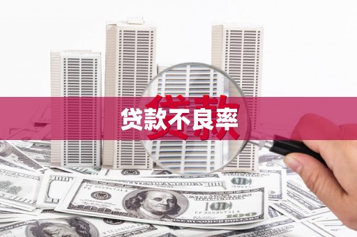 墨脱贷款不良率