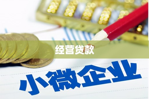 连山经营贷款