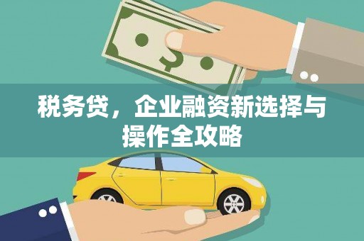 萨迦税务贷，企业融资新选择与操作全攻略