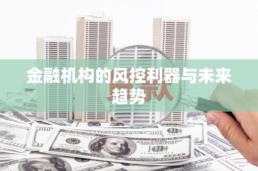 洪雅金融机构的风控利器与未来趋势