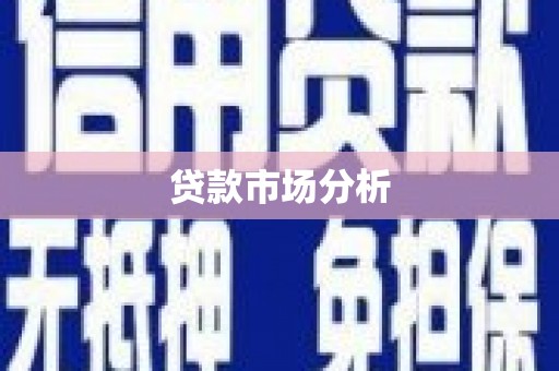 平果贷款市场分析