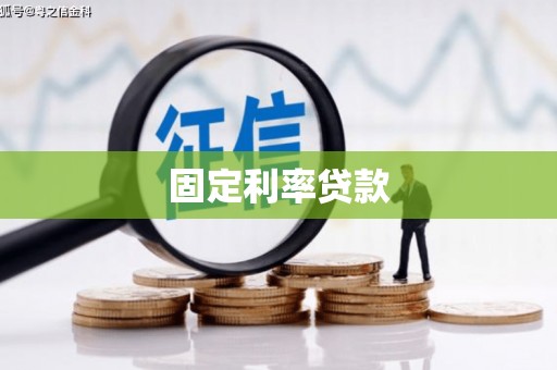 玉井固定利率贷款