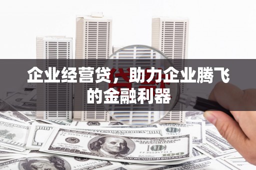凤泉企业经营贷，助力企业腾飞的金融利器