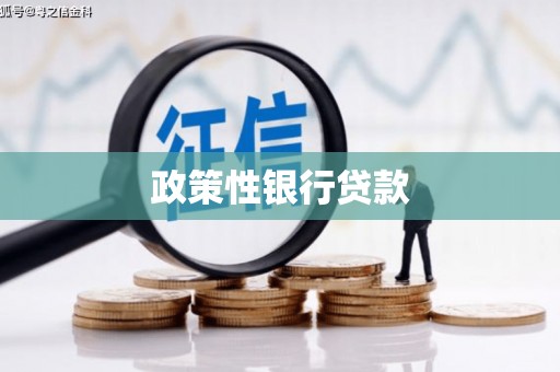 云阳政策性银行贷款