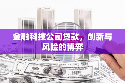 紫云金融科技公司贷款，创新与风险的博弈