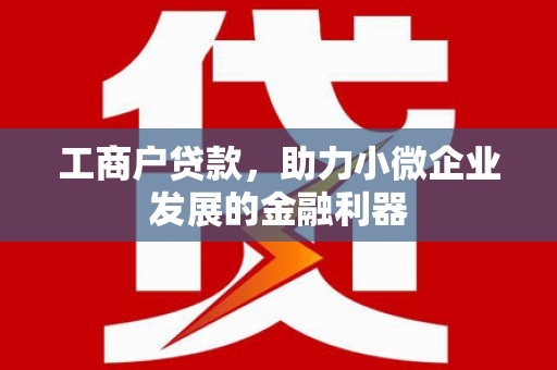云阳工商户贷款，助力小微企业发展的金融利器