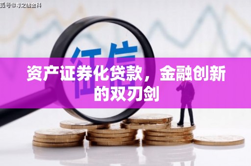 岳阳资产证券化贷款，金融创新的双刃剑