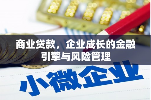 芮城商业贷款，企业成长的金融引擎与风险管理