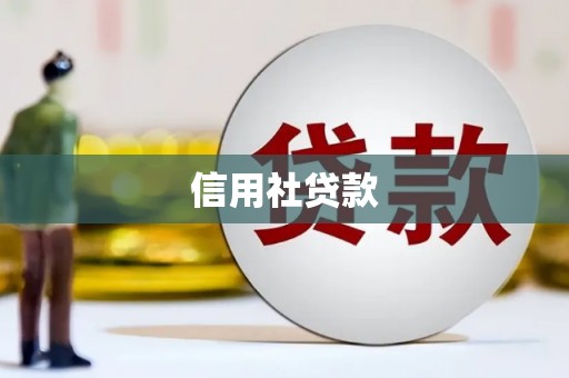 遂宁信用社贷款