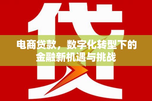 卢龙电商贷款，数字化转型下的金融新机遇与挑战