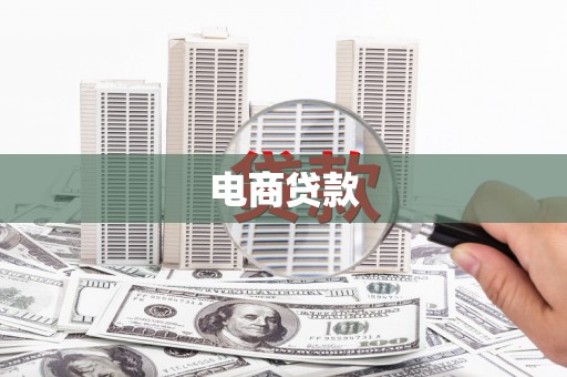 卢龙电商贷款
