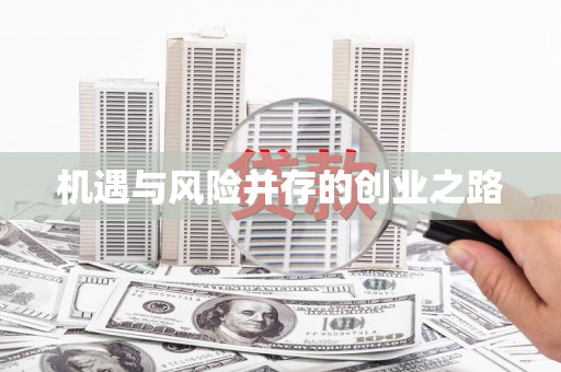 卢龙机遇与风险并存的创业之路