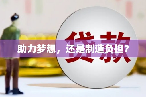 卢龙助力梦想，还是制造负担？