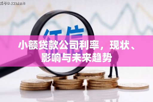 龙州小额贷款公司利率，现状、影响与未来趋势