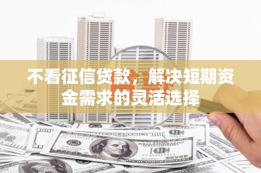 武山不看征信贷款，解决短期资金需求的灵活选择