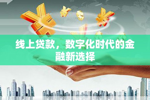 武山线上贷款，数字化时代的金融新选择