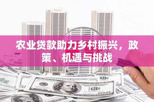 黄浦农业贷款助力乡村振兴，政策、机遇与挑战