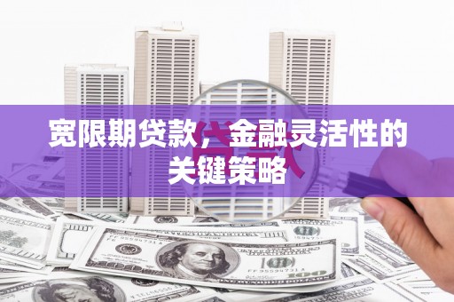 武山宽限期贷款，金融灵活性的关键策略