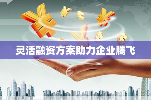 芮城灵活融资方案助力企业腾飞