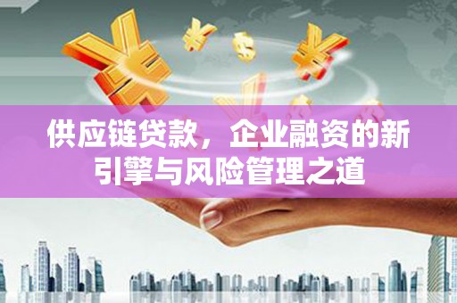 芮城供应链贷款，企业融资的新引擎与风险管理之道
