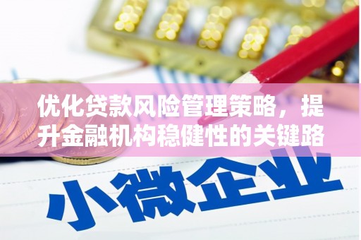 田阳优化贷款风险管理策略，提升金融机构稳健性的关键路径