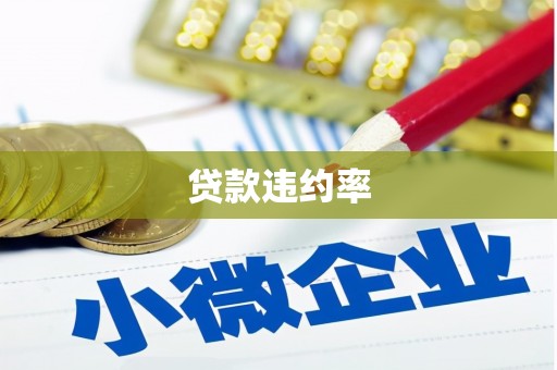 南票贷款违约率