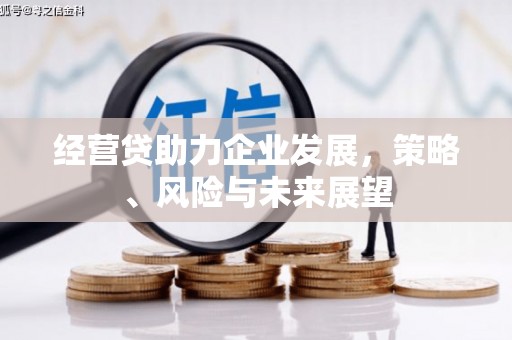 田阳经营贷助力企业发展，策略、风险与未来展望