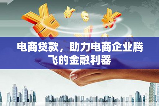 玉井电商贷款，助力电商企业腾飞的金融利器