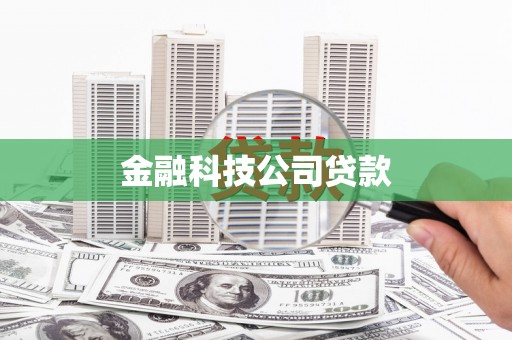 龙文金融科技公司贷款