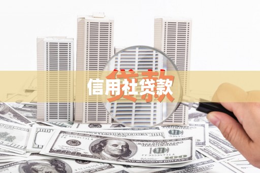 博野信用社贷款