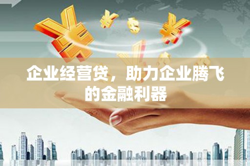 南岸企业经营贷，助力企业腾飞的金融利器