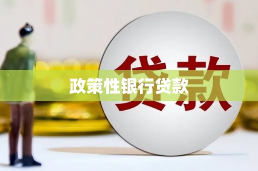 玉井政策性银行贷款