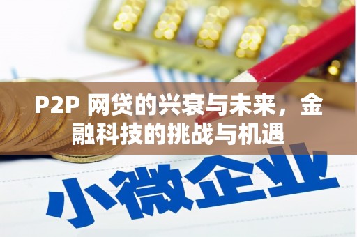 龙文P2P 网贷的兴衰与未来，金融科技的挑战与机遇