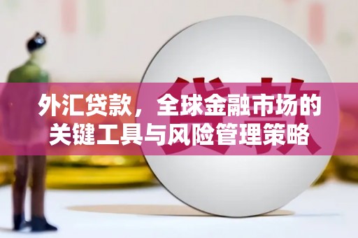 神池外汇贷款，全球金融市场的关键工具与风险管理策略