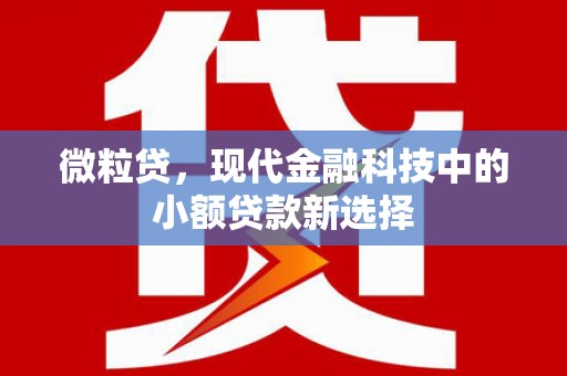 平和微粒贷，现代金融科技中的小额贷款新选择