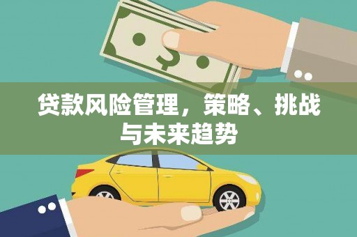 高陵贷款风险管理，策略、挑战与未来趋势