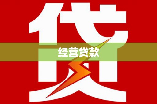 高陵经营贷款