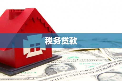 江源税务贷款