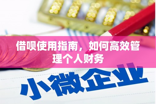 江源借呗使用指南，如何高效管理个人财务