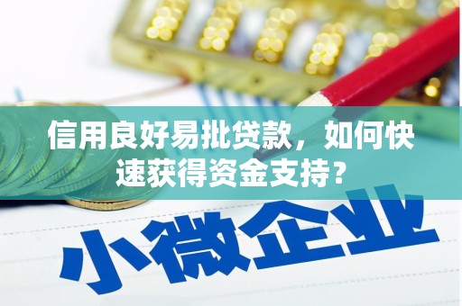 江源信用良好易批贷款，如何快速获得资金支持？