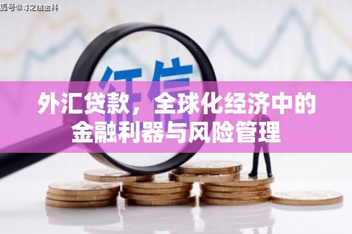 宽城外汇贷款，全球化经济中的金融利器与风险管理