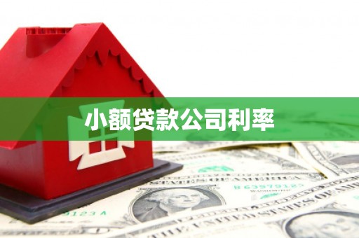 平顶山小额贷款公司利率