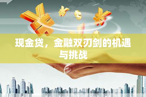 平顶山现金贷，金融双刃剑的机遇与挑战