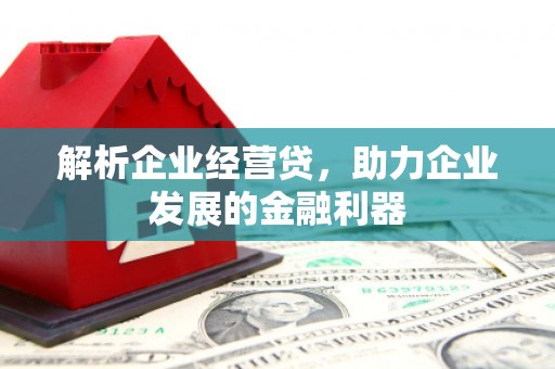 英吉沙解析企业经营贷，助力企业发展的金融利器