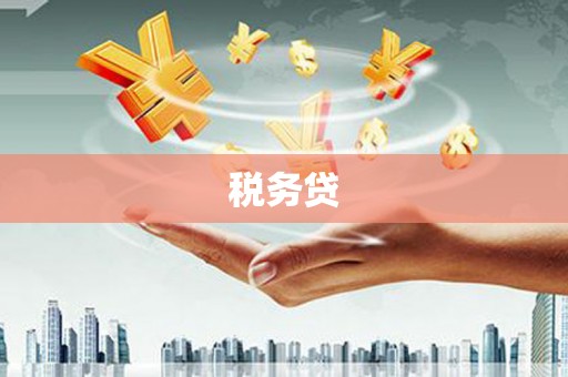 龙门税务贷