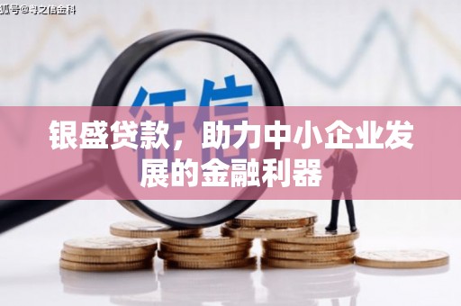 阳新银盛贷款，助力中小企业发展的金融利器